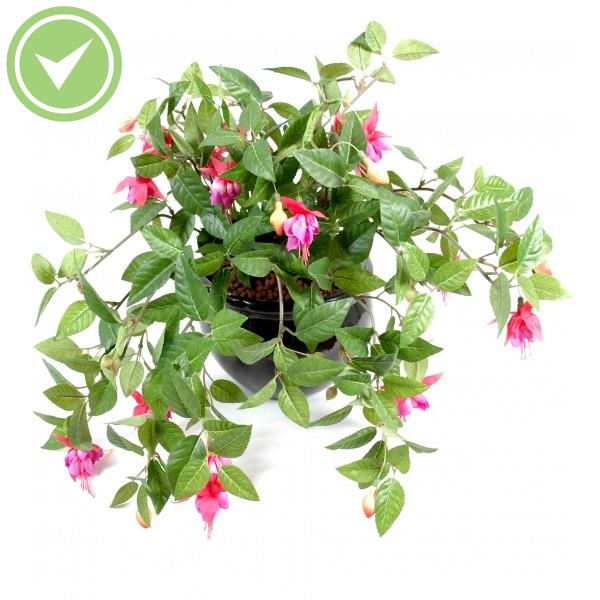 Fuchsia Chute*306 Plante retombante artificielle