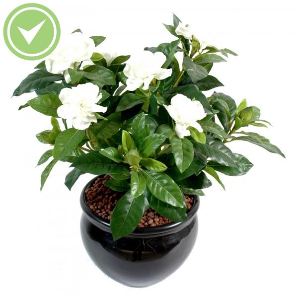 Gardenia*6-6 Plante artificielle fleurie