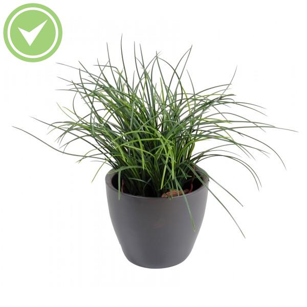 Herbe Fine  Pot 35Cm Plante artificielle