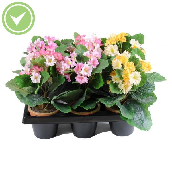 Hortensia Mini Pot En Barquette De 6 Plante artificielle en pot