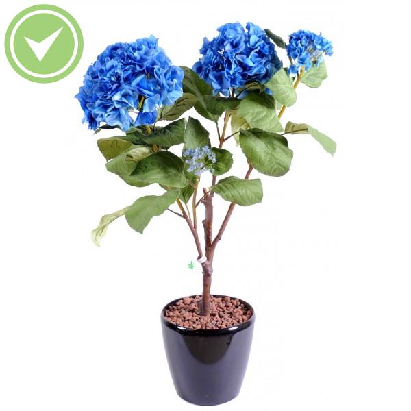 vente privee plante