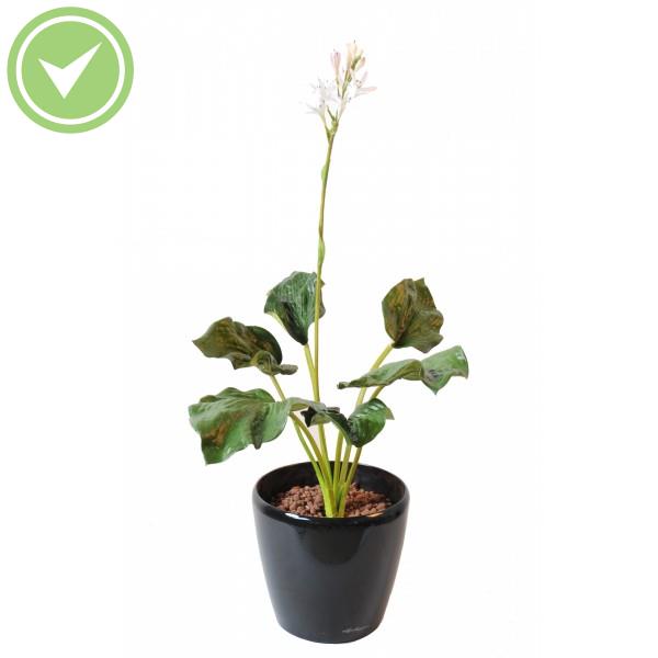Hosta Fleuri Plante verte artificielle