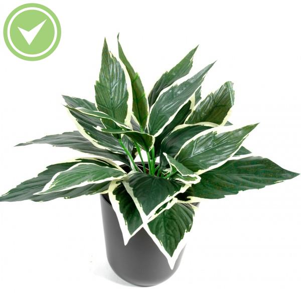 Hosta Mini*24 Plante verte artificielle