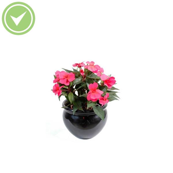 Impatiens Piquet Mini Plante artificielle fleurie