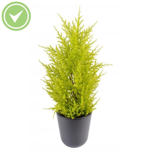 Juniperus Topiaire artificielle