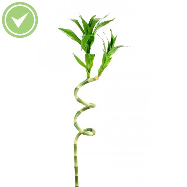 Lucky Bambou Plante verte artificielle
