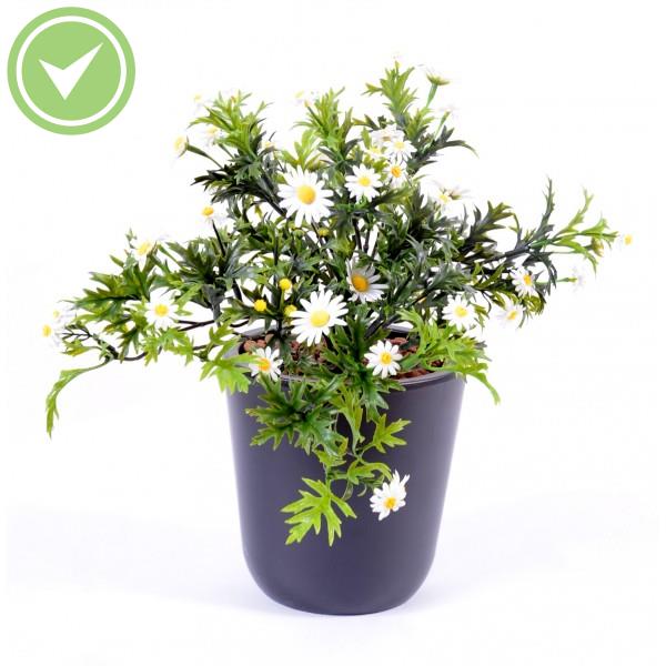 Marguerite Plast Plante artificielle fleurie