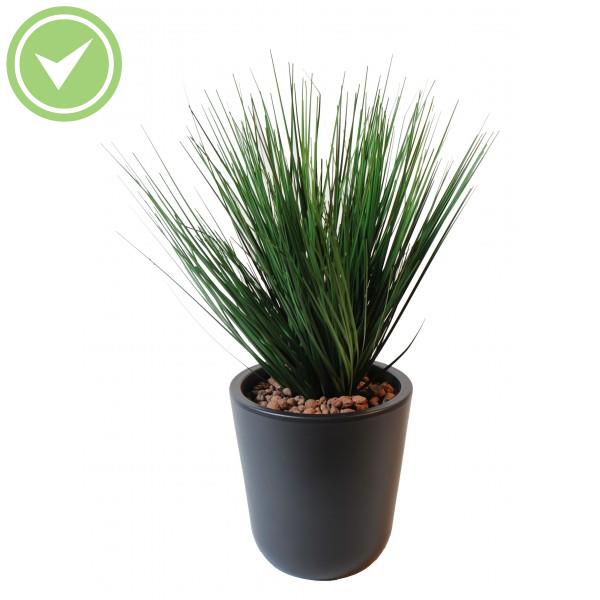 Onion Grass En Pot Herbe artificielle