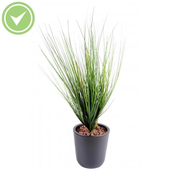 Onion Grass Piquet Large Herbe artificielle