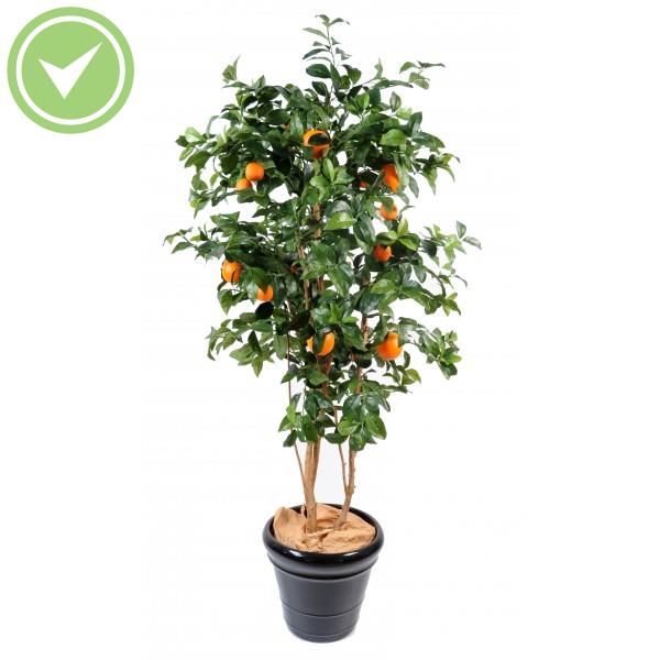 Oranger New Plante artificielle Méditerranéenne