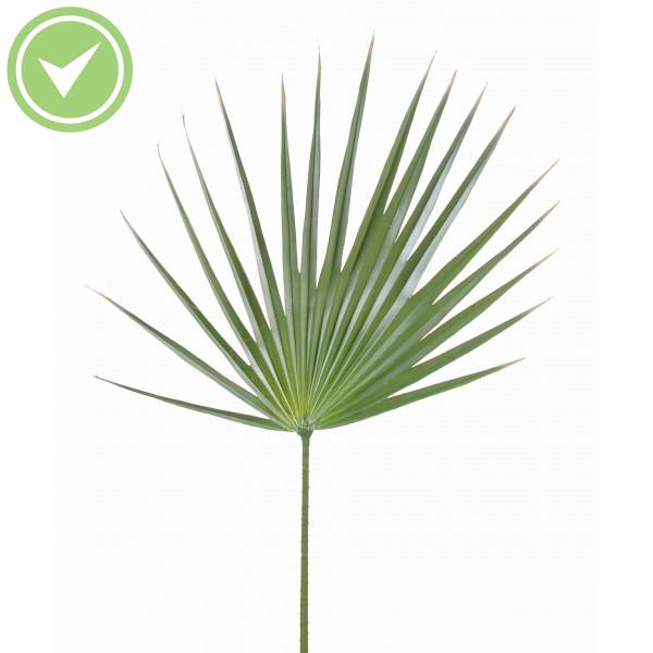 Palme Washingtonia Palme palmier artificielle