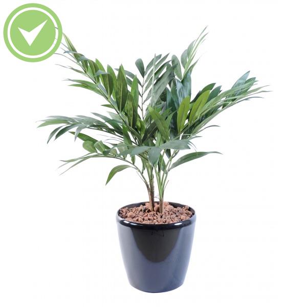 Palmier Parlour Plante Plante verte artificielle