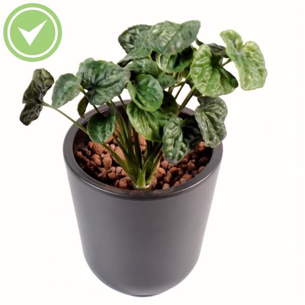 Peperomia Plast Plante verte artificielle