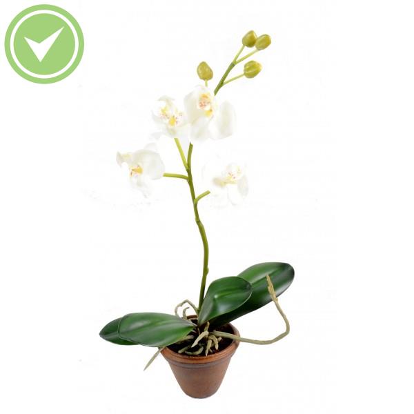 Phalaenopsis En Pot 4 Fleur Plante artificielle en pot