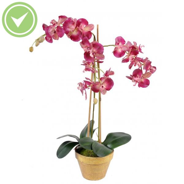 Phalaenopsis L Pot Terre Plante artificielle en pot