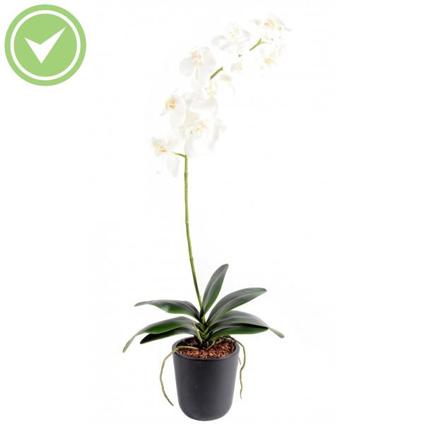 Phalaenopsis L*11 Orchidée artificielle