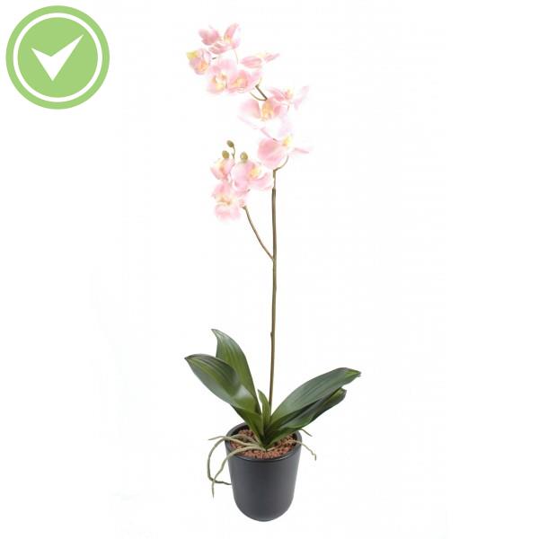 Phalaenopsis L*12 Orchidée artificielle