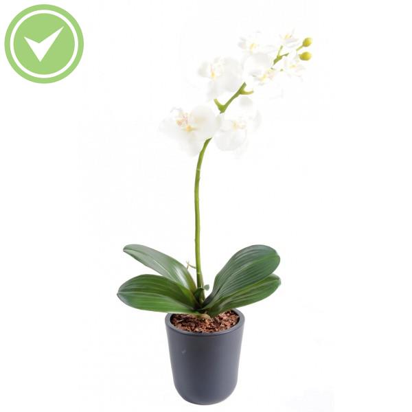 Phalaenopsis M*7+2 Orchidée artificielle