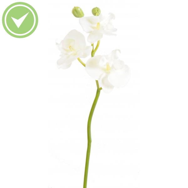 Phalaenopsis Mini Orchid Végétal artificiel