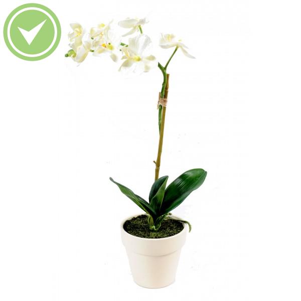 Phalaenopsis Mini Pot Plante artificielle en pot