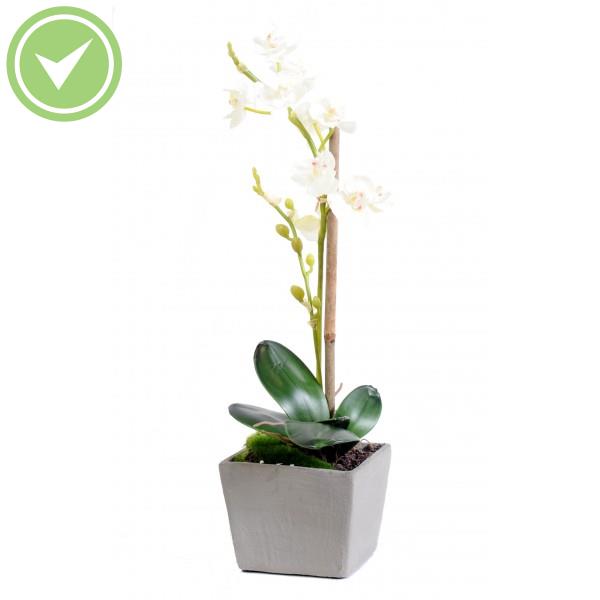 Phalaenopsis Pot Végétal artificiel