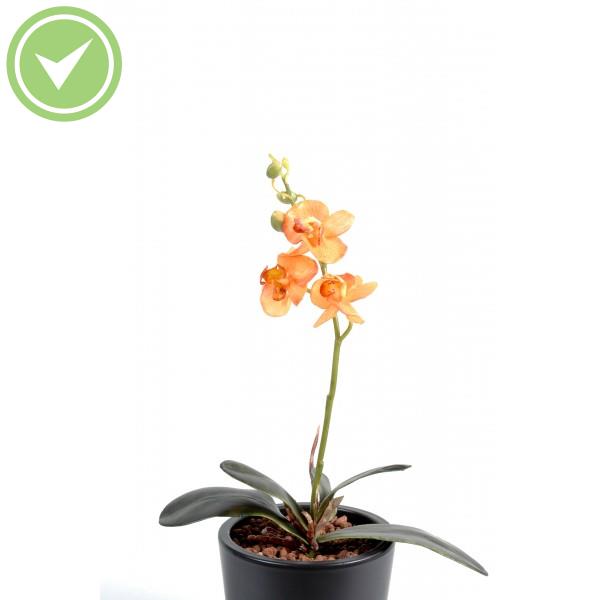 Phalaenopsis S Orchidée artificielle
