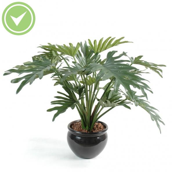Philodendron Selloum Plante verte artificielle