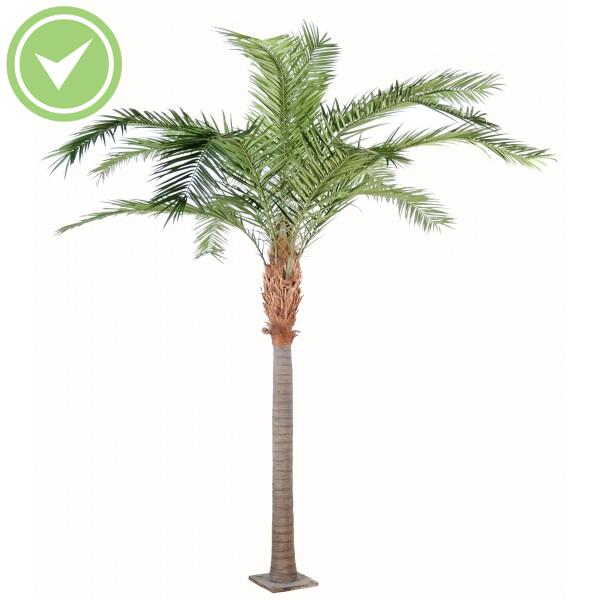 Phoenix Canariensis Palmier artificiel