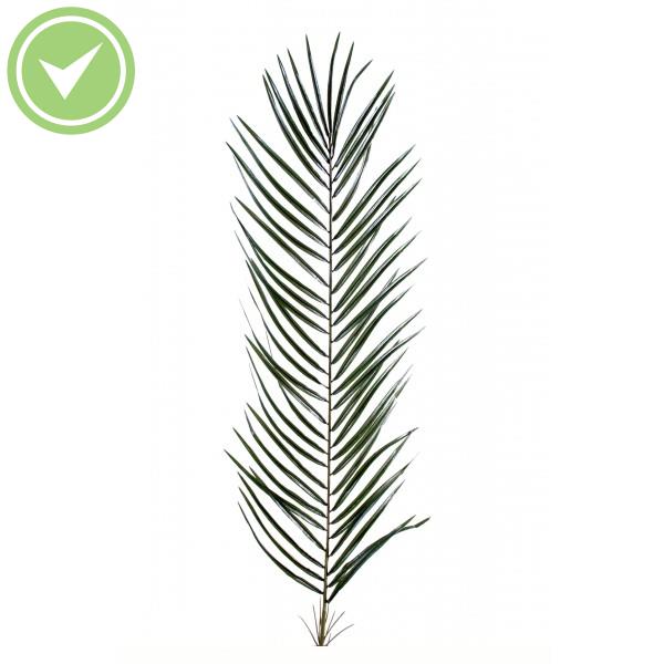 Phoenix New Palm Spray Mm*59 Palme palmier artificielle