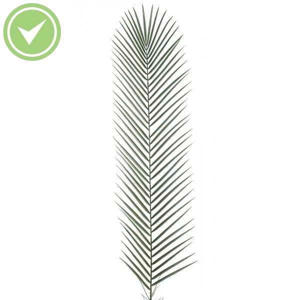 Phoenix Palm Plastique Gm Palme palmier artificielle