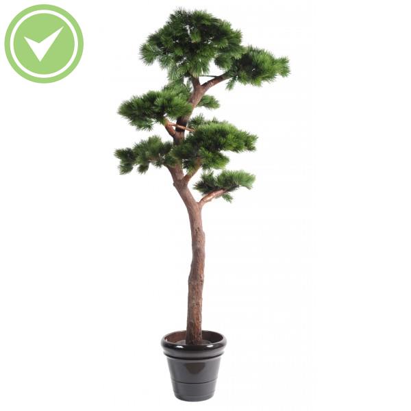 Pin Bonsai Uv Resistant Végétal artificiel