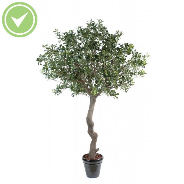 Pittosporum Arbre Arbre artificiel