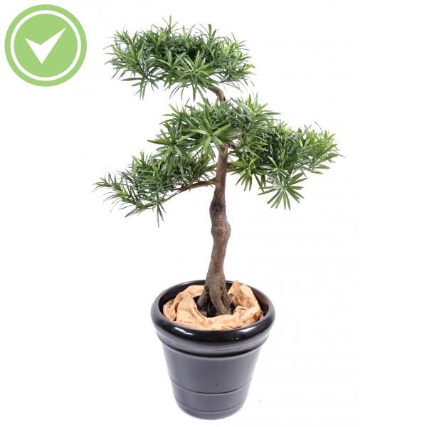 Podocarpus Bonsai*4 Plante artificielle Méditerranéenne