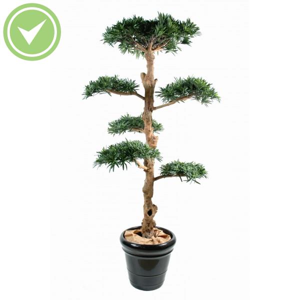 Podocarpus Nuage Large Plante artificielle Méditerranéenne