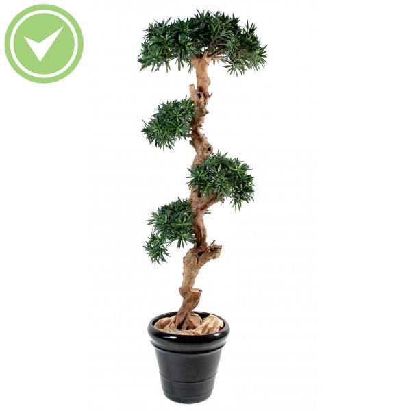 Podocarpus Nuage Plante artificielle Méditerranéenne