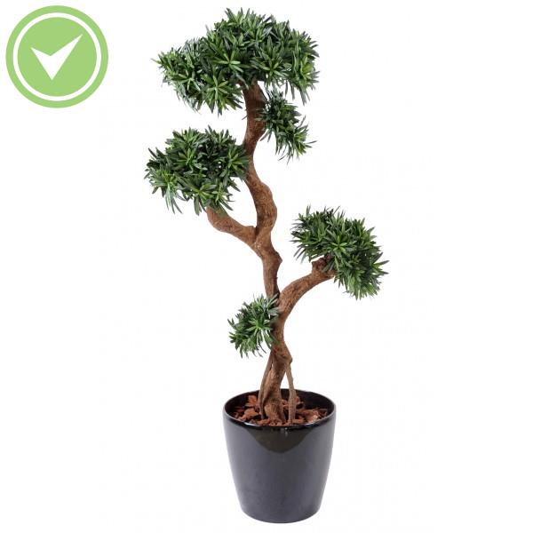 Podocarpus Tree Végétal artificiel