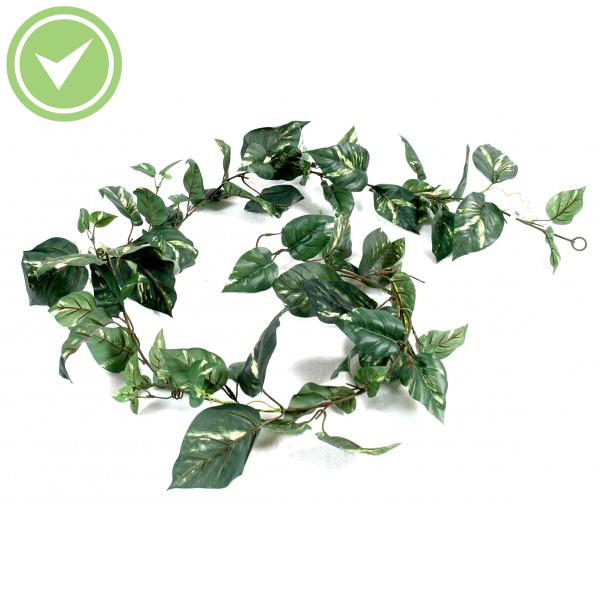 Pothos Guirlande Guirlande artificielle