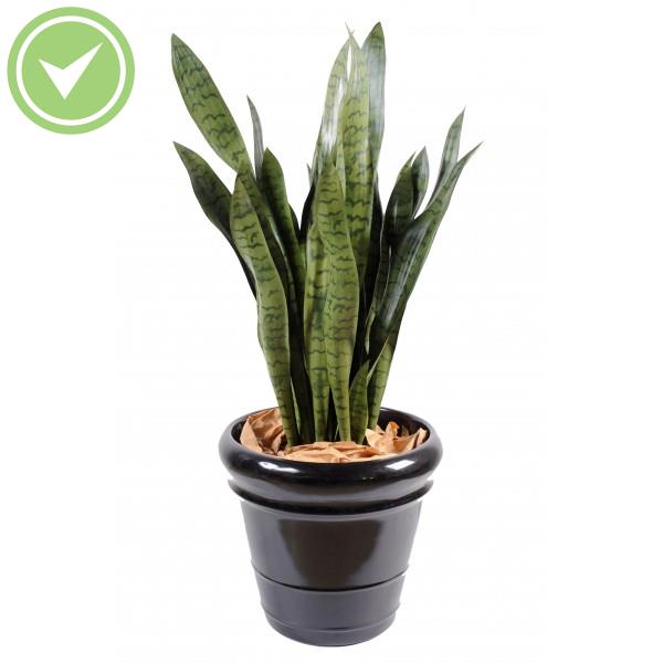 Sansevieria Large Plante verte artificielle