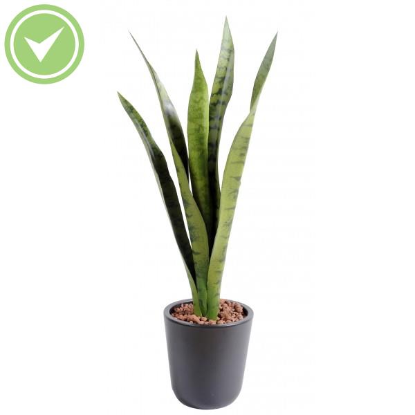 Sansevieria Piquet Mm Végétal artificiel