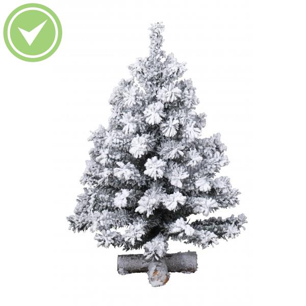 Sapin Blanc Noël