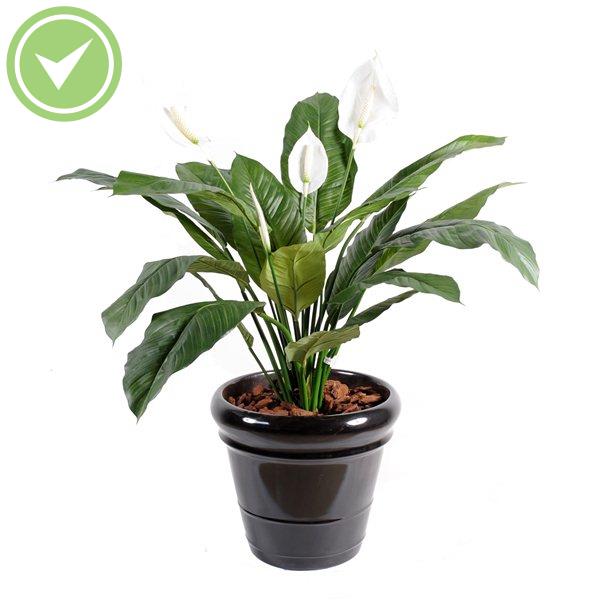 Spathiphyllum *4Fl Pot Plante artificielle