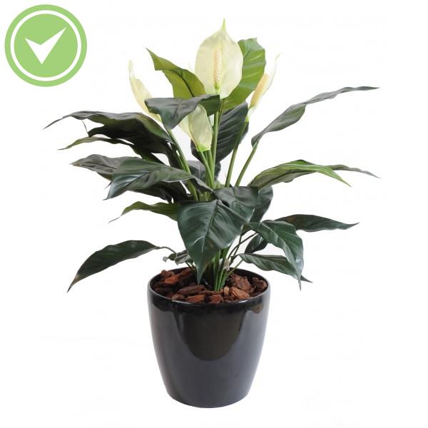 Spathiphyllum *5Fl Pot Plante verte artificielle