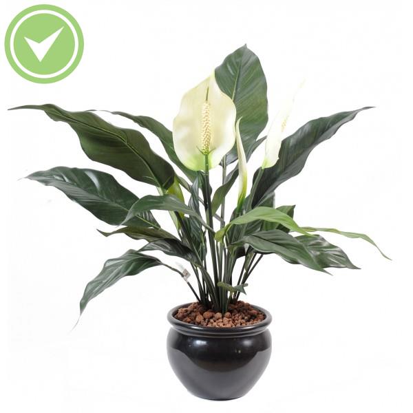 Spathiphyllum*2Fl*1Bt Pot Plante verte artificielle