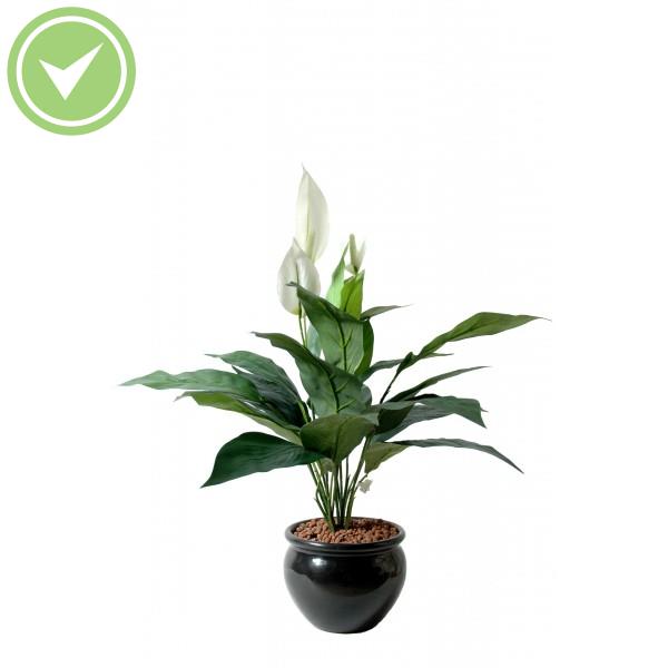 Spathiphyllum 3Fl Plante verte artificielle