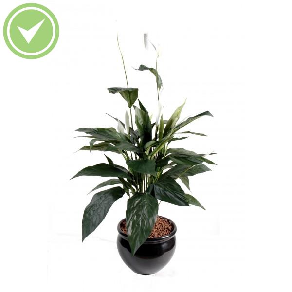 Spathiphyllum 8 Fl Plante verte artificielle