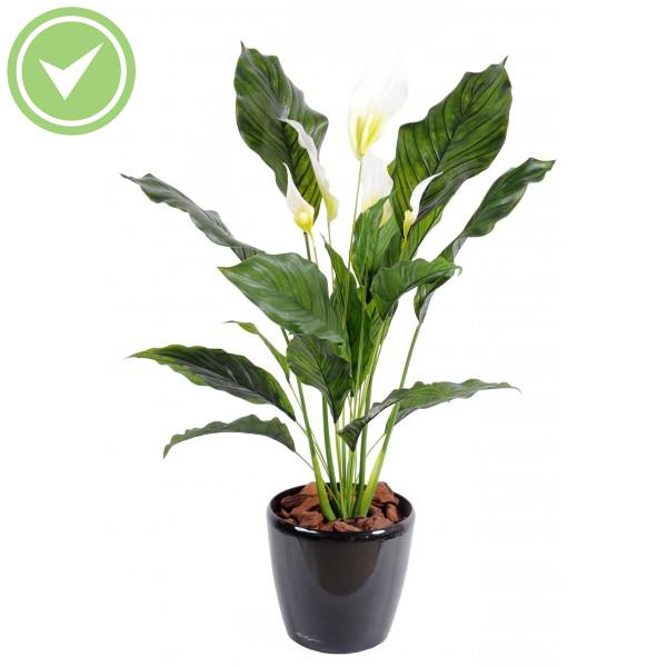 Spathiphyllum Plast 5 Fl Plante artificielle