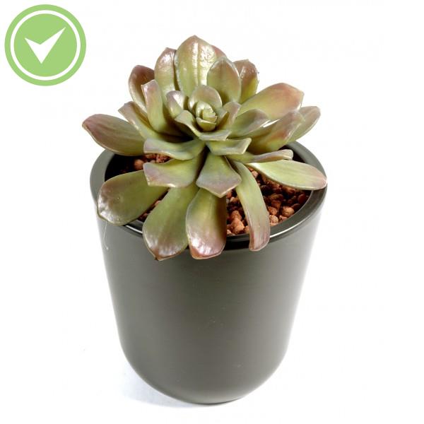 Succulent Rond Cactée artificielle