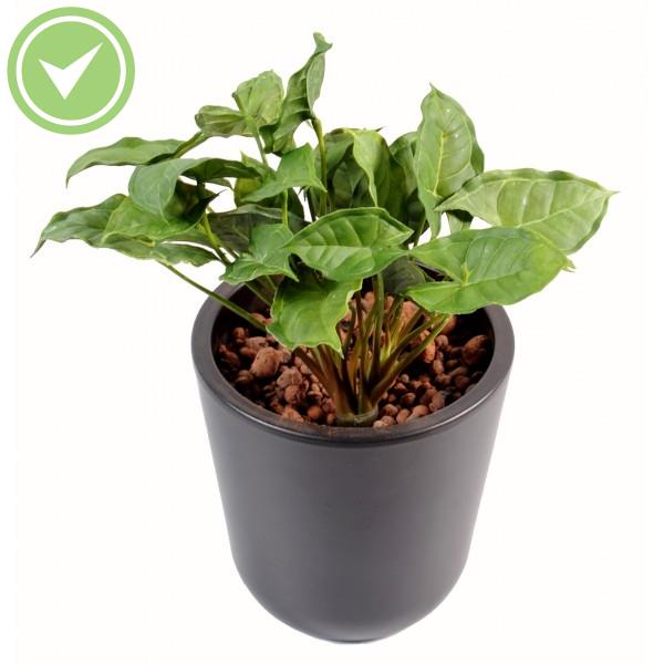 Syngonium Mini Plast Plante verte artificielle