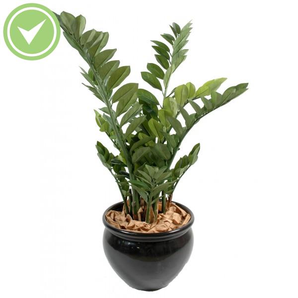 Zamia Arbre artificiel