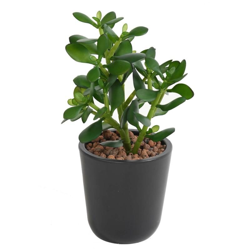 Crassula Jade Plant artificiel à feuillage vert en PE